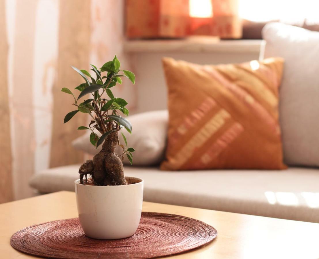 Baum Apartments Tarcsafürdő Kültér fotó